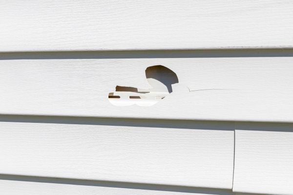 Cost of White Vinyl Siding Repair in El Cajon